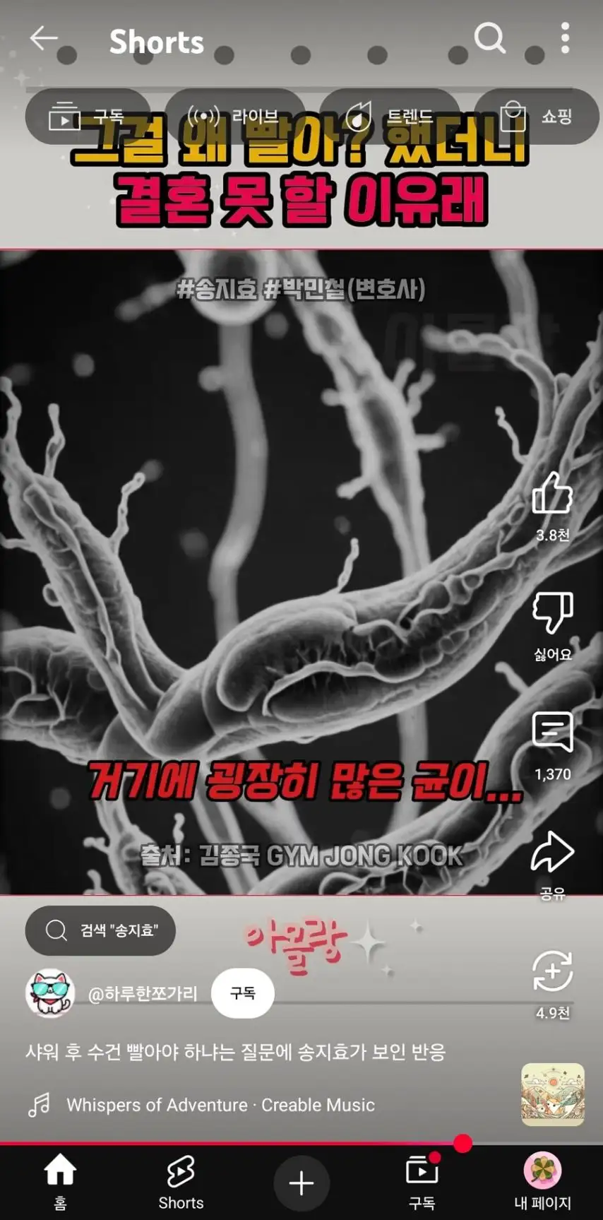 본문 이미지