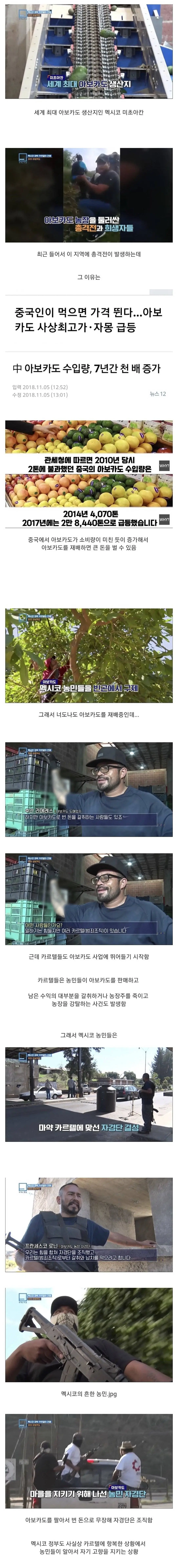 Screenshot_20221103_080629.jpg 멕시코 카르텔의 새로운 돈벌이 수단