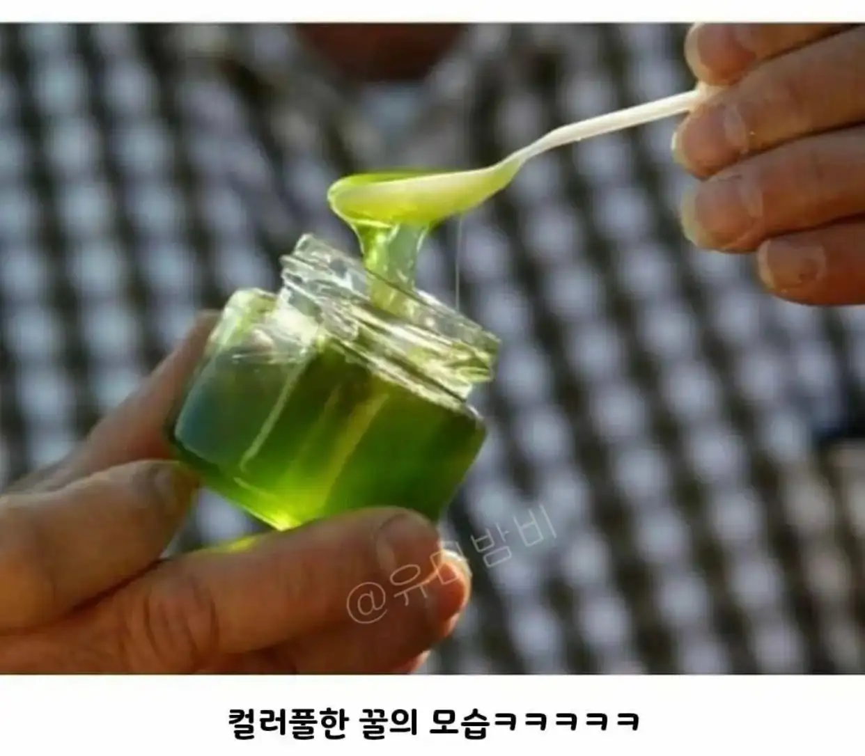 2.jpeg 초콜릿 공장에서 뭔가를 먹고온 꿀벌들.jpg