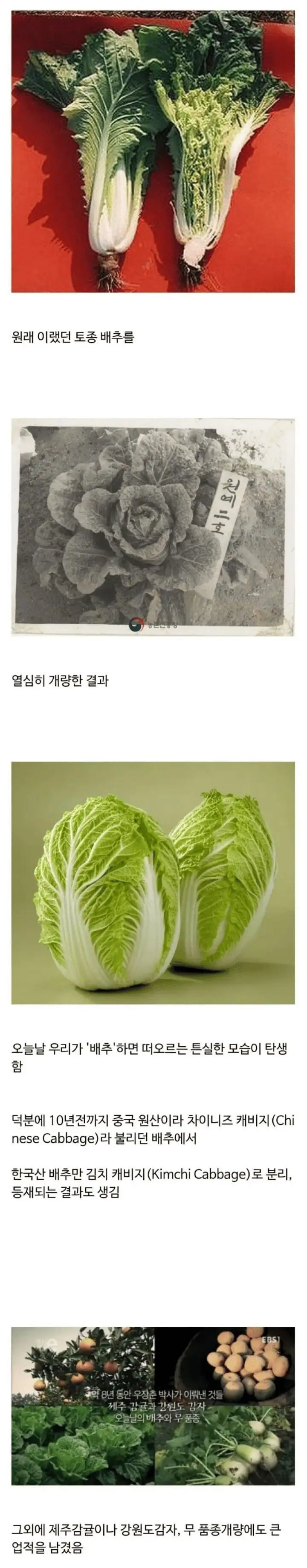 img/25/04/22/1965cc70392f74d1.png