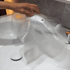 jacksonhwang giphyupload GIF