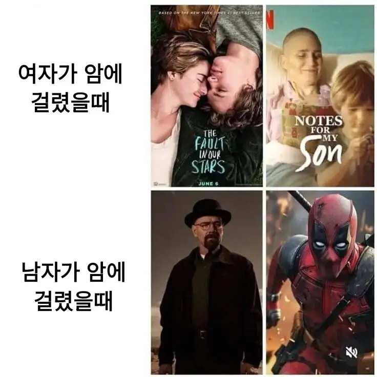 여자가 암 걸렸을 때 VS 남자가 암 걸렸을 때.jpg_1.jpg