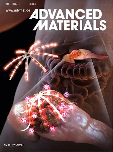 3차원 장시간, 저강도 광역동치료 시스템 개요