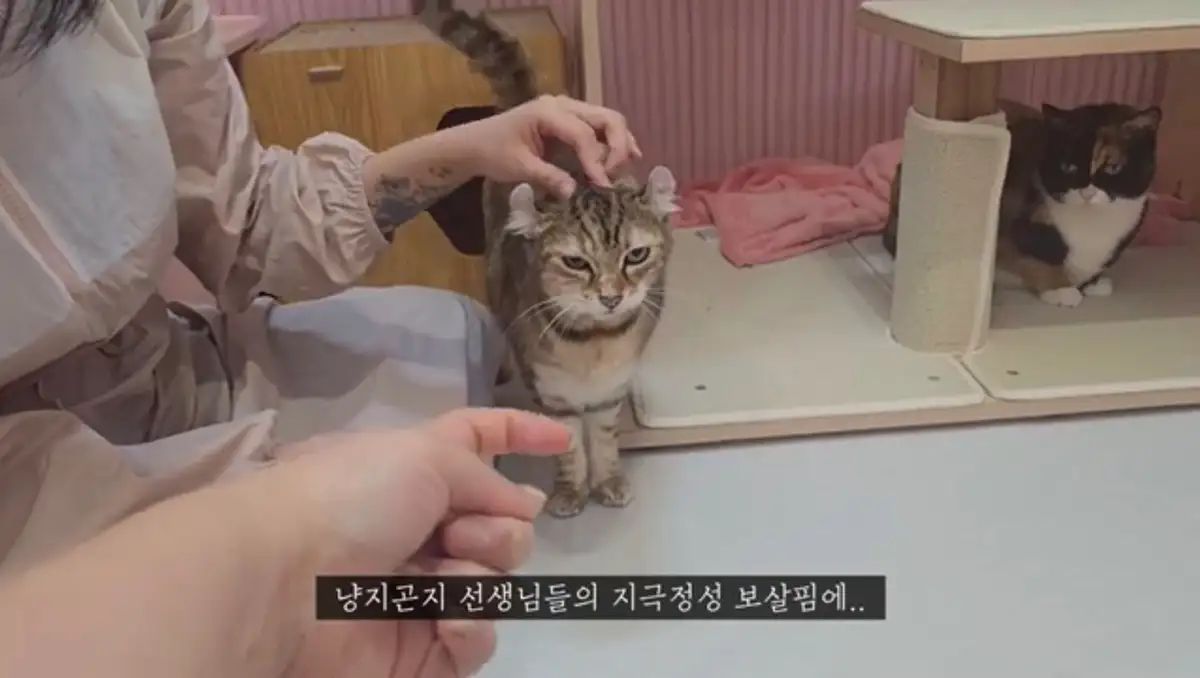 MissyUSA, image size:1200x678