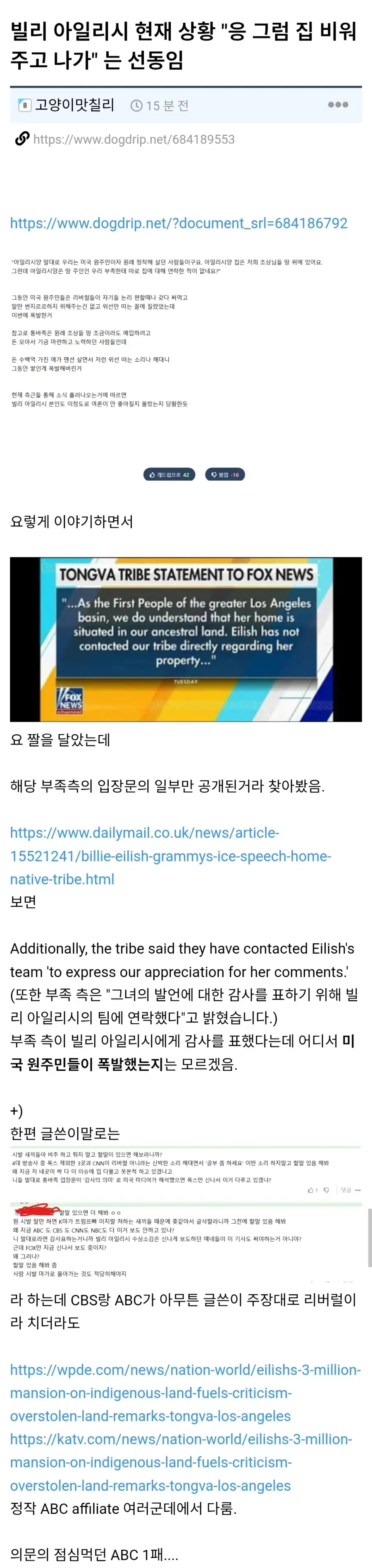 미국 원주민한테 욕 먹고 있다는 빌리아일리시 근황_2.webp