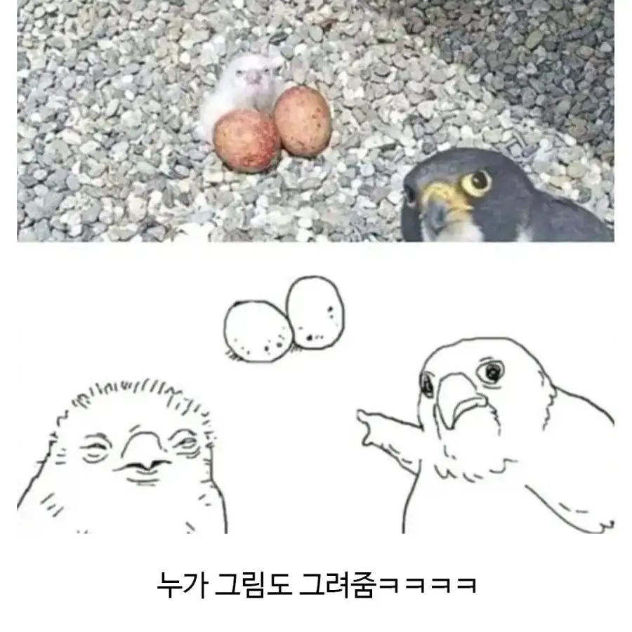 일본에서 합성 아니냐며 논란이였던 사진.jpg_2.webp