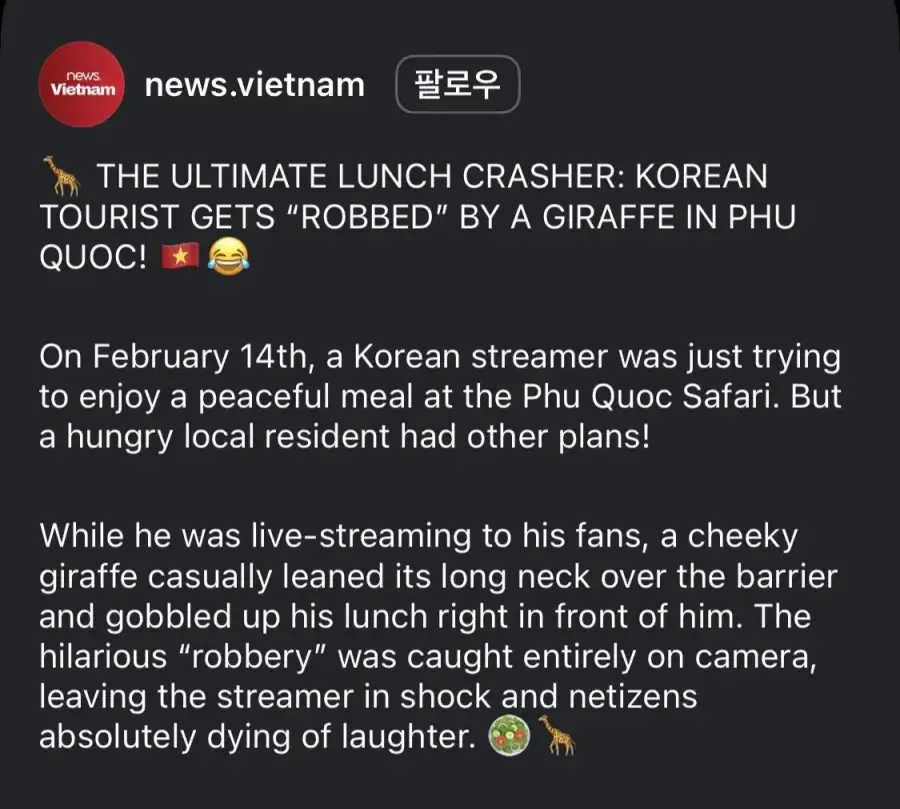 베트남 뉴스에 뜬 한국인 유튜버_1.webp
