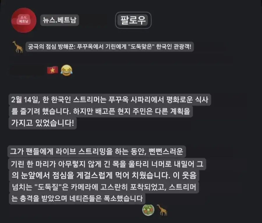 베트남 뉴스에 뜬 한국인 유튜버_2.webp