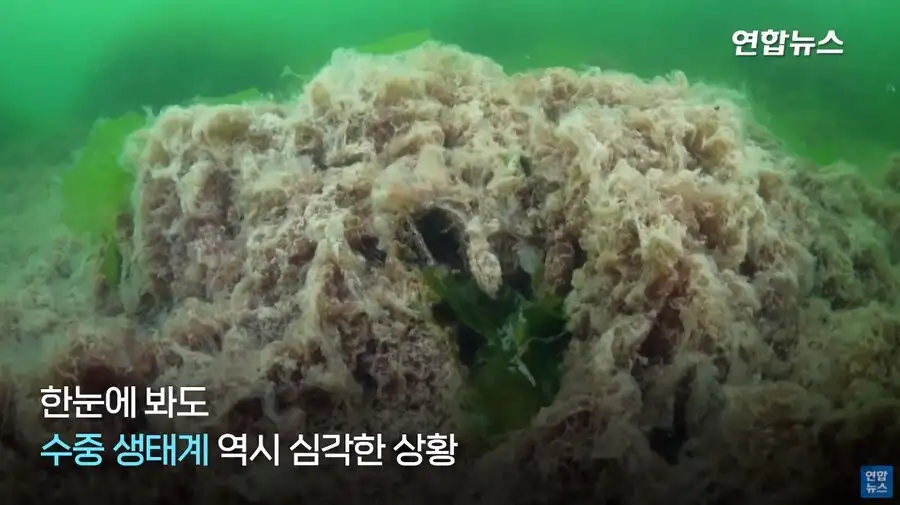 위고비같은거 없어도 진짜 살이 쭉쭉 빠지고 있다는 신호_3.jpg