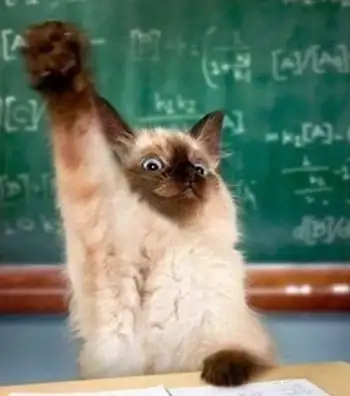 한국이 유럽국가 방산 매출액 따잇 못하는 이유_2.webp