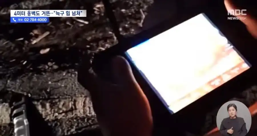 늑구의 동물원탈출에 대한 사람들의 예상과 현실_2.webp