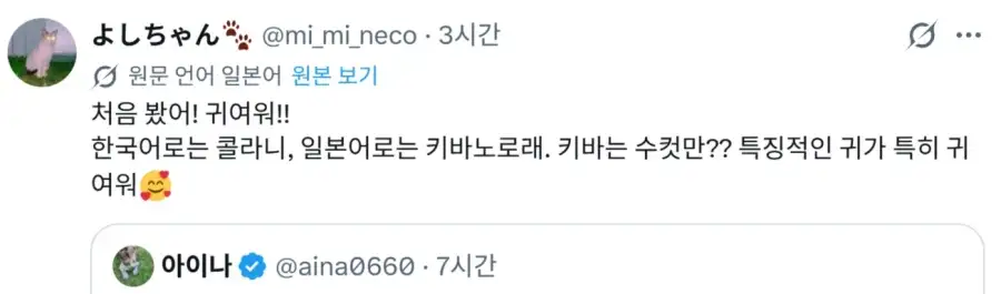 고라니 처음본 일본인들 반응_2.webp