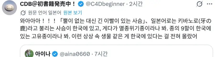 고라니 처음본 일본인들 반응_3.webp