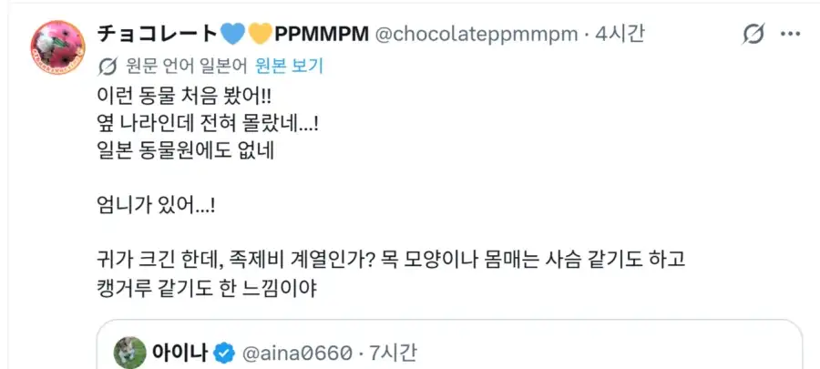 고라니 처음본 일본인들 반응_4.webp