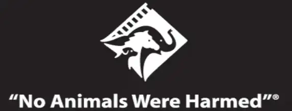 요즘 전쟁 현장 영상에서 자주 달리는 밈_2.webp