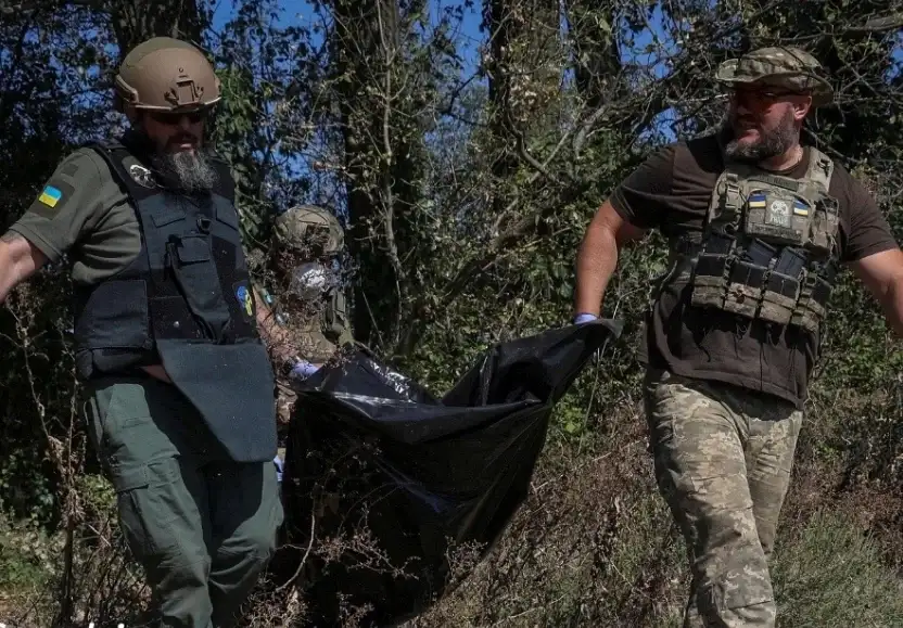 요즘 전쟁 현장 영상에서 자주 달리는 밈_3.webp