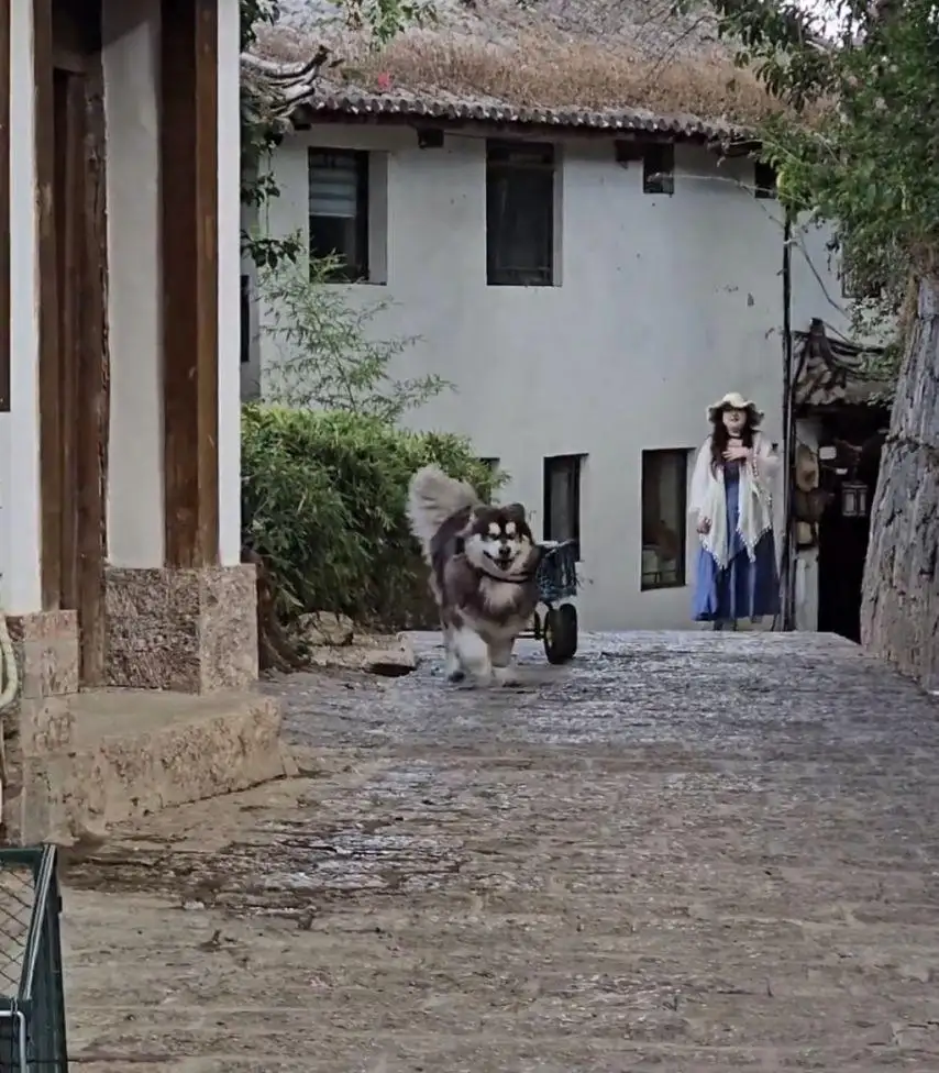 클릭하시면 원본 이미지를 보실 수 있습니다.