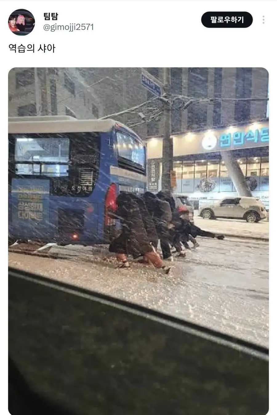 일본에서 리트윗된 한국 겨울 사진_1.webp