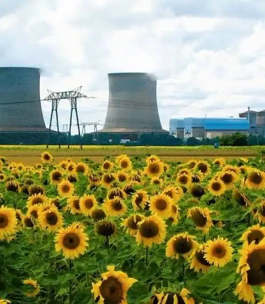 폴로늄이 왜 담배에 있냐고 하는데_7.webp