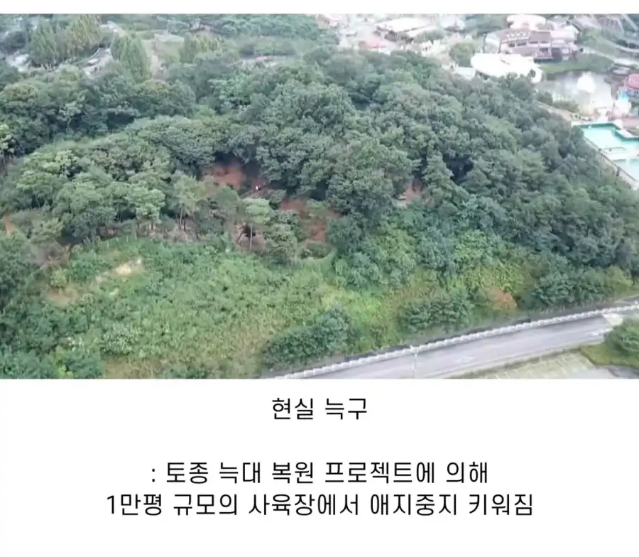 늑구 팔이 근황_4.webp