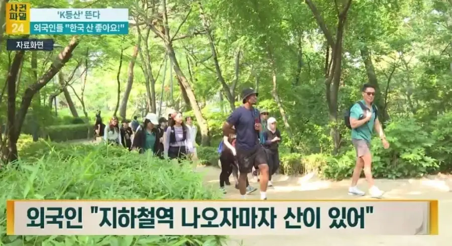 주로 서양인들이 즐긴다는 K-컨텐츠_2.webp