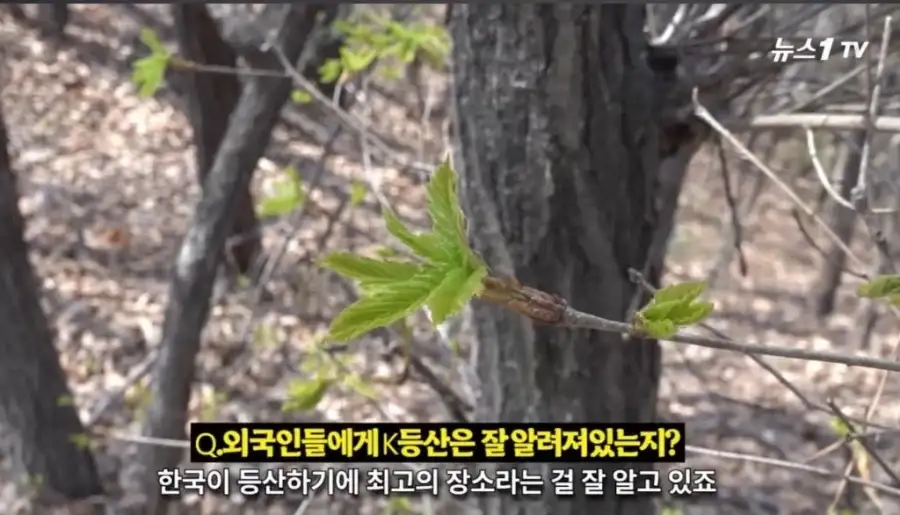 주로 서양인들이 즐긴다는 K-컨텐츠_8.webp