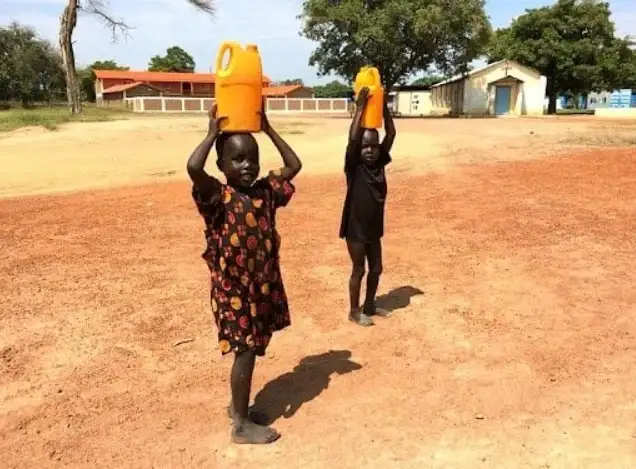 "아이는 과거엔 공짜 노동력이었지만 지금은 사치품이다"_2.webp