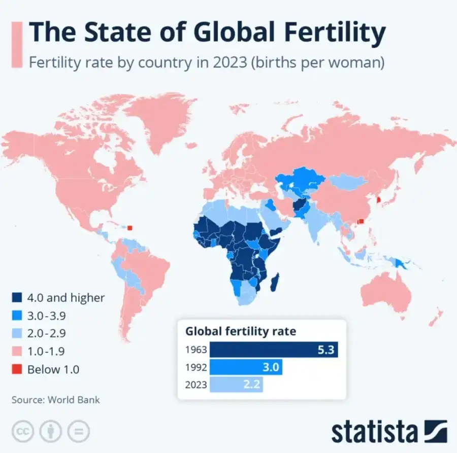 "아이는 과거엔 공짜 노동력이었지만 지금은 사치품이다"_4.webp