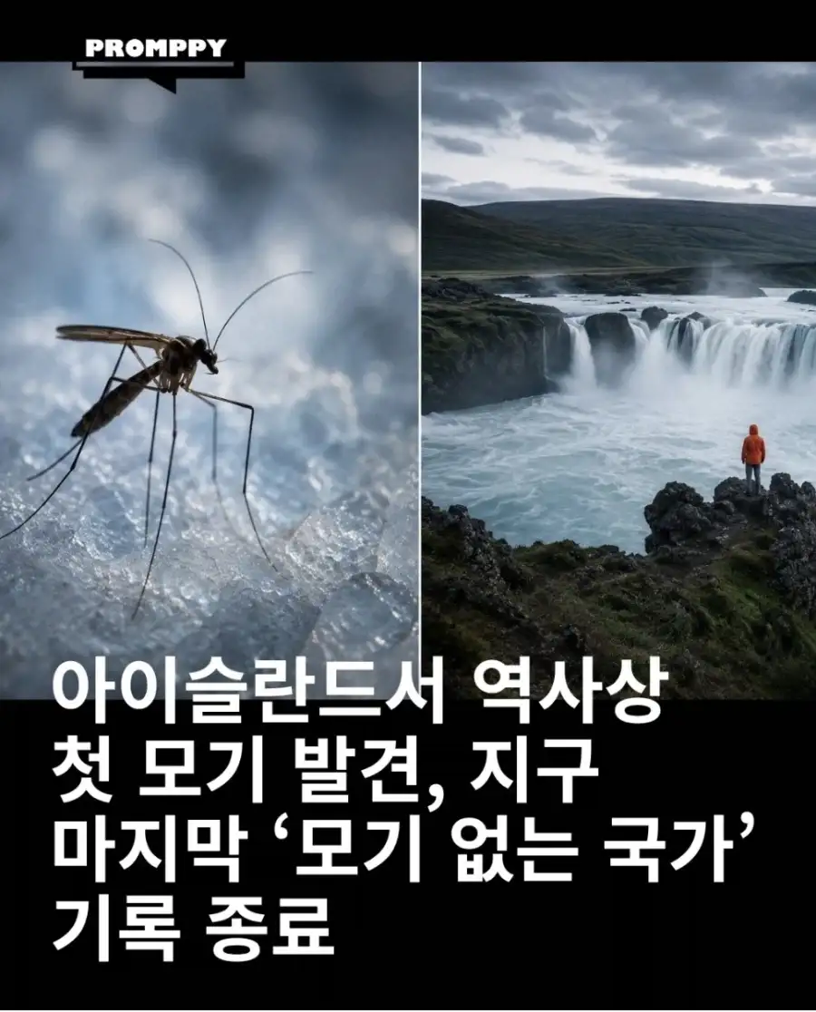 모기 청정국 최신 근황_1.webp