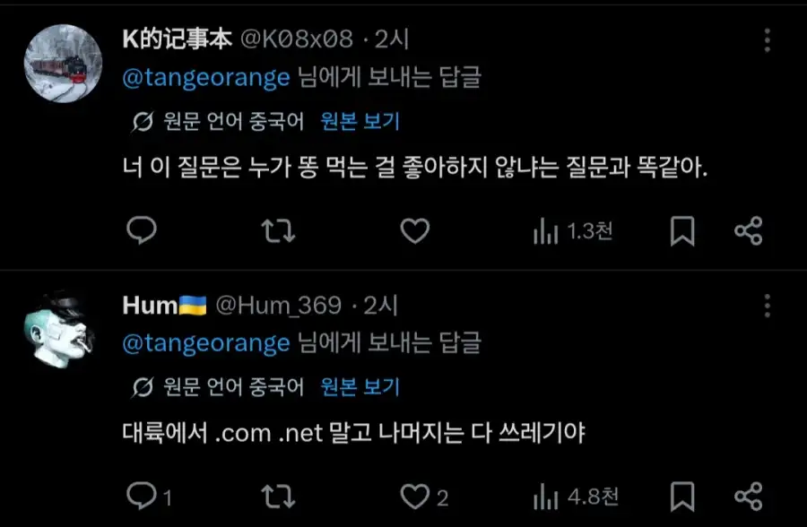 "왜 중국인들은 .cn 도메인을 싫어하죠?"_3.webp