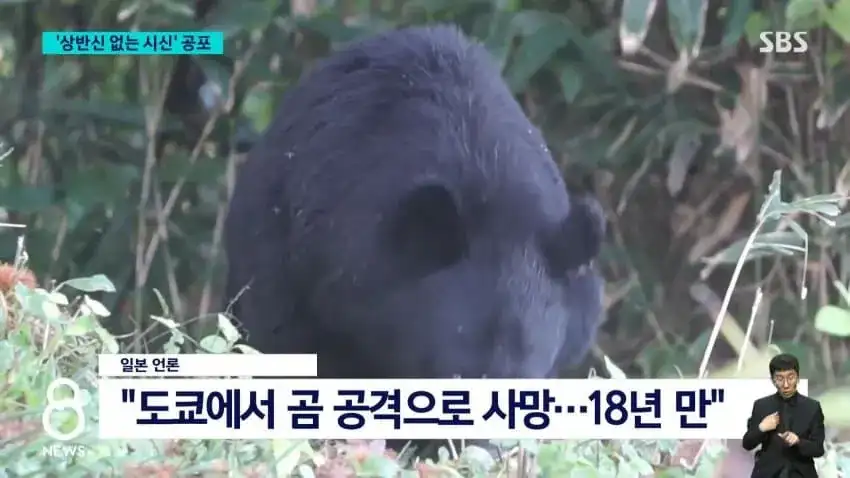 오싹오싹 ;; 일본...곰...근황;;_2.webp