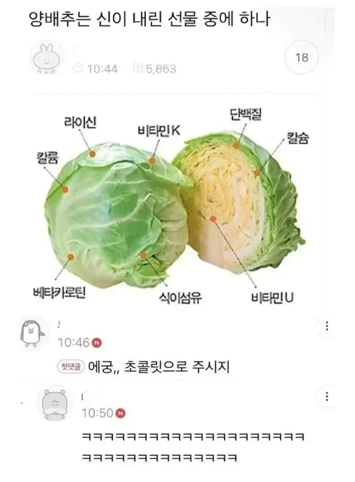 양배추는 신이 내린 선물임_1.webp