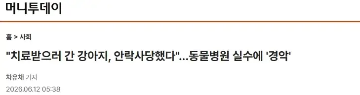 수의사 실수로 안락사 당한 반려견_1.webp