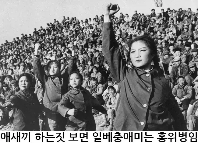 구더기(ㅇㅂ충) 판별은 누구나 가능하다.jpg_1.webp
