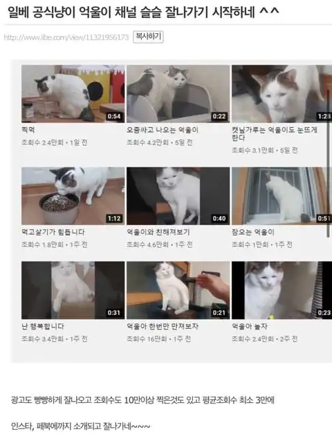 일베 출신 중에서 유명한 사람은 많았다._2.webp