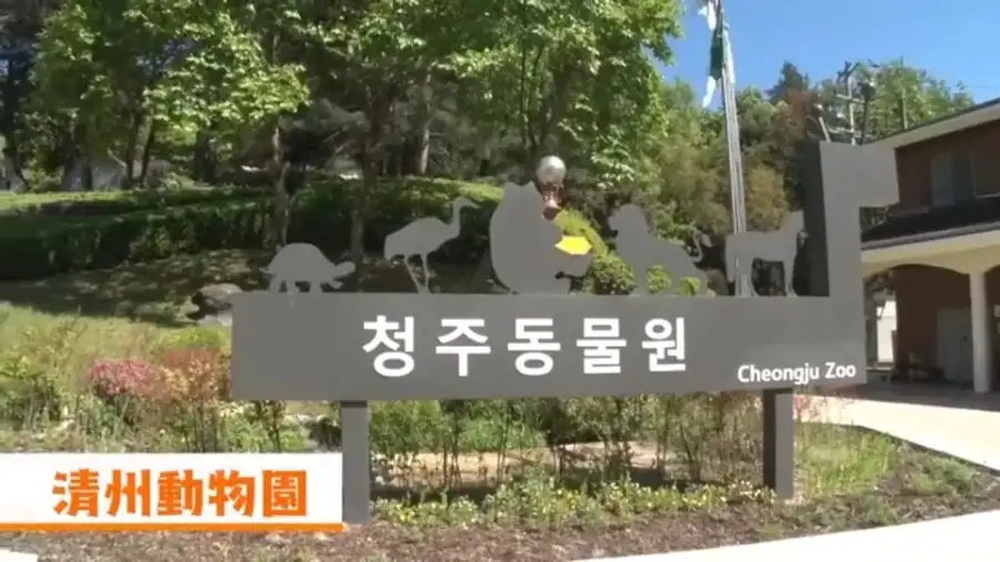 한국 오면 술 많이 먹는 걸로 유명한 일본 아저씨 근황_1.webp