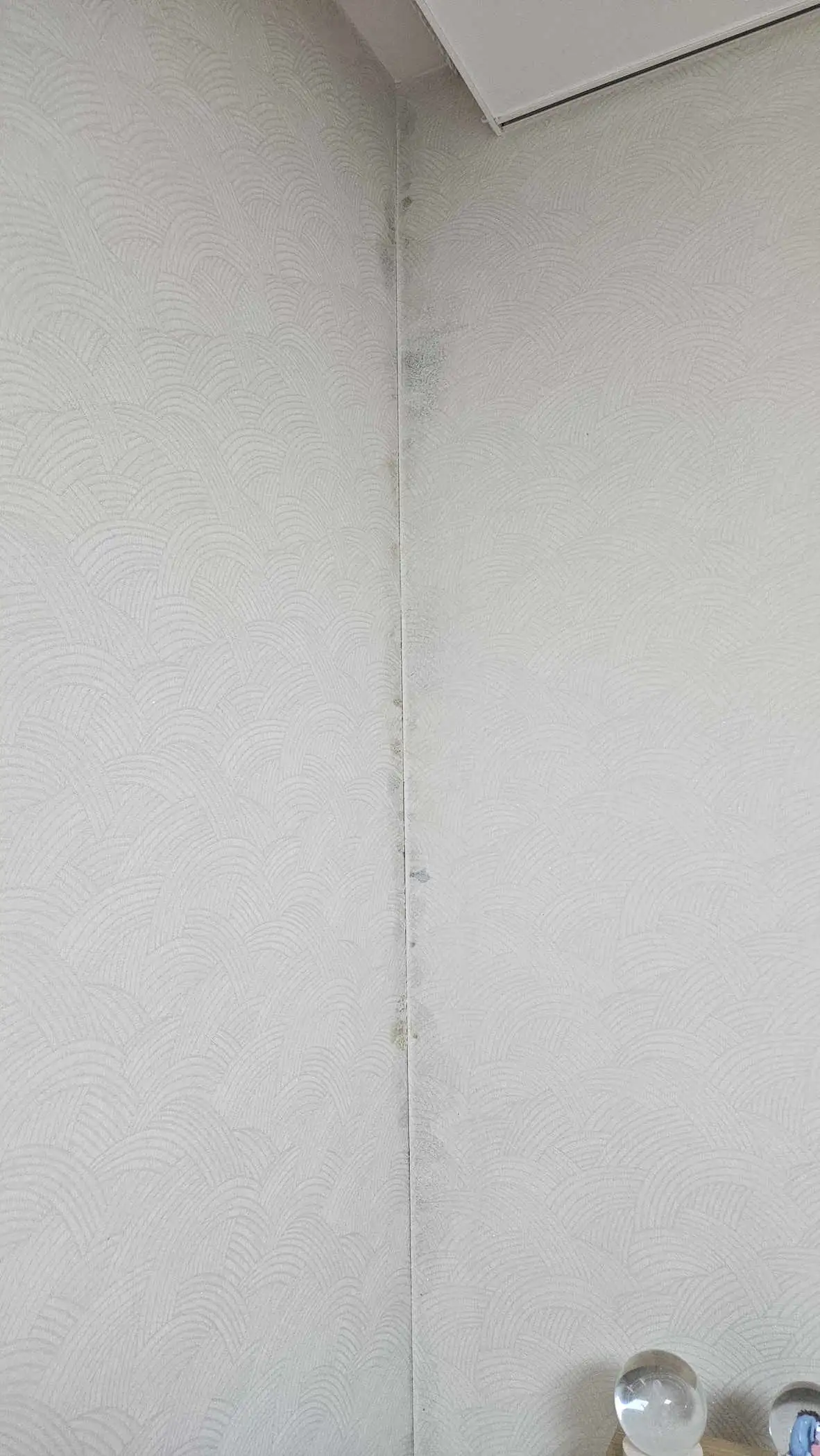 KakaoTalk_20260621_174823533.jpg
