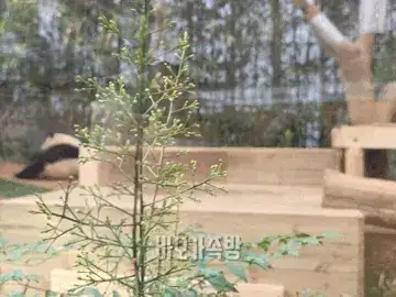 4268520335_AroYaQ.webp