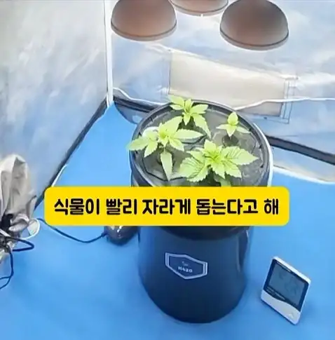 도둑들이 포르셰 눈알만 빼가는 이유_23.webp