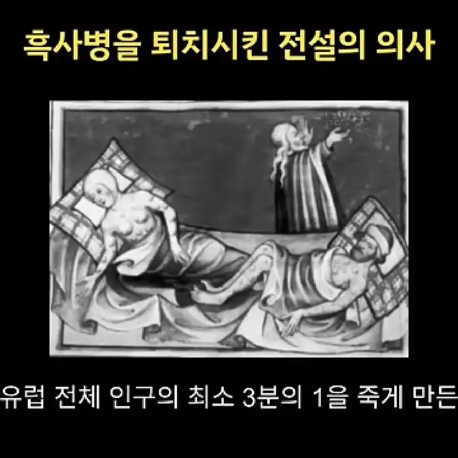 프랑스에서 흑사병을 퇴치시킨 의사의 정체_1.webp