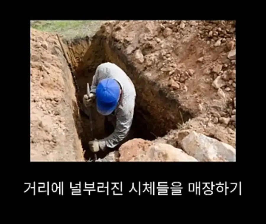 프랑스에서 흑사병을 퇴치시킨 의사의 정체_10.webp