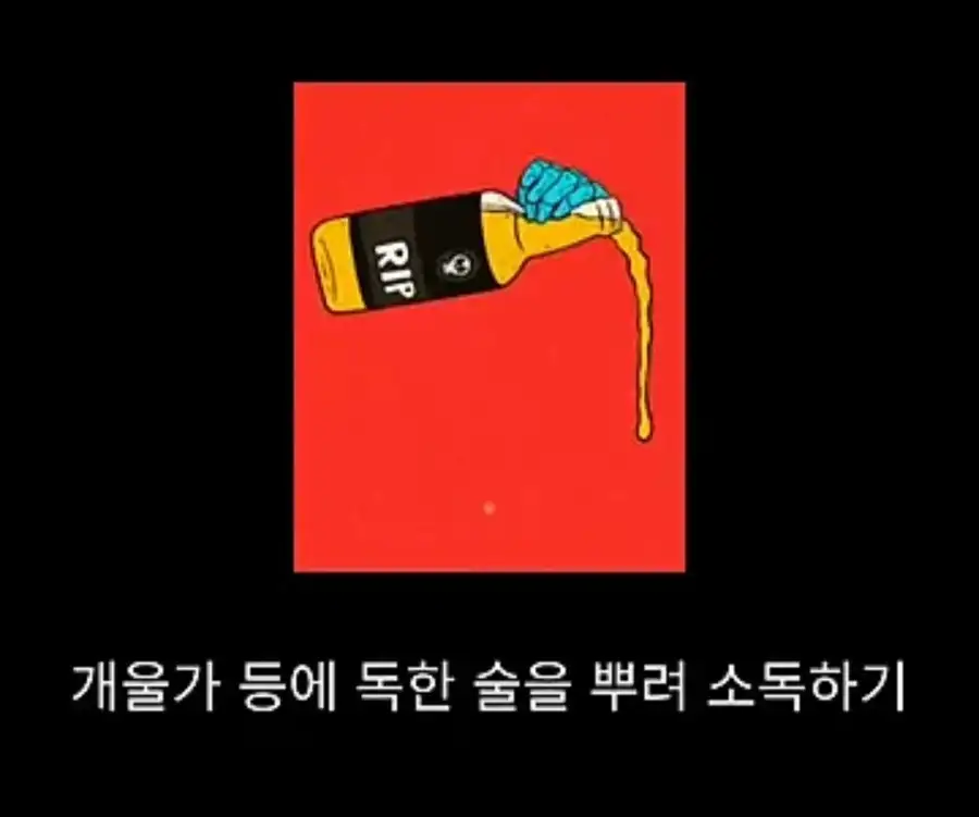 프랑스에서 흑사병을 퇴치시킨 의사의 정체_12.webp
