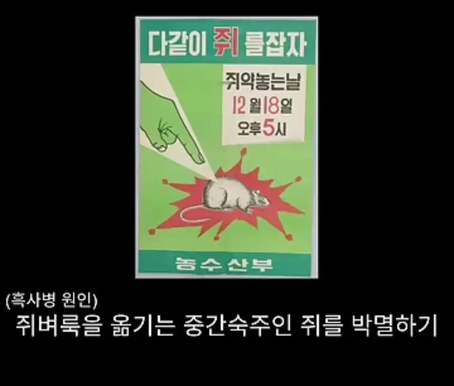 프랑스에서 흑사병을 퇴치시킨 의사의 정체_13.webp