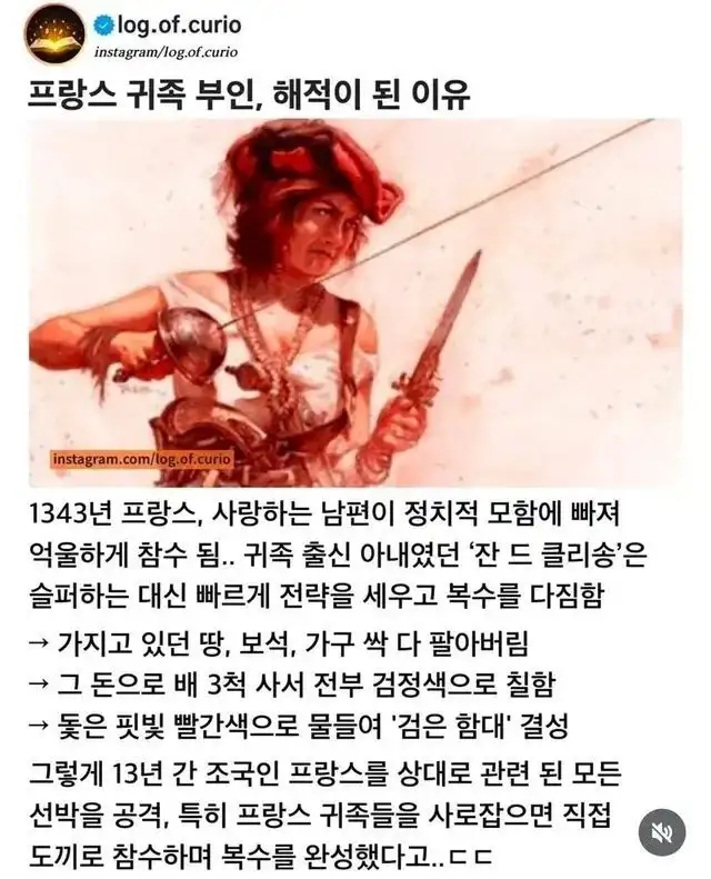남편을 위해 해적이 된 귀족 부인_1.webp