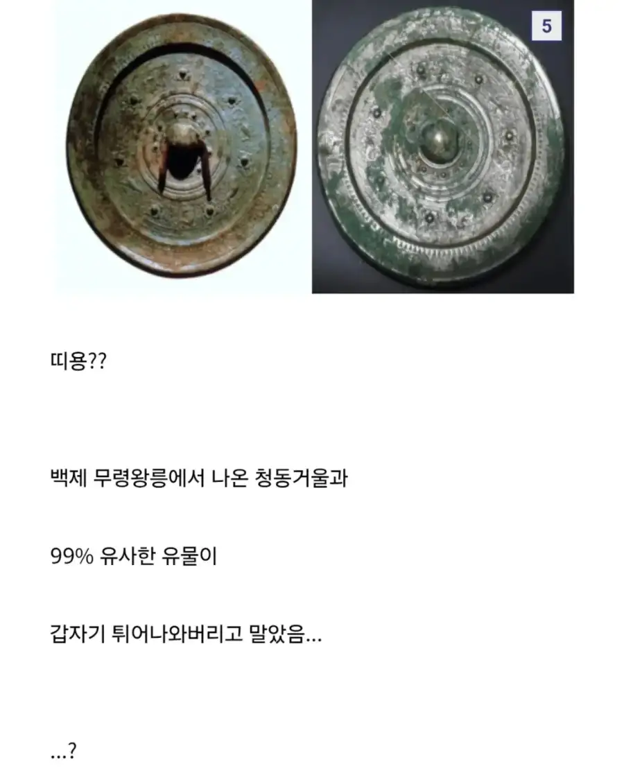 일본이 아직도 최대 규모의 무덤을 발굴 안하는 이유._5.webp
