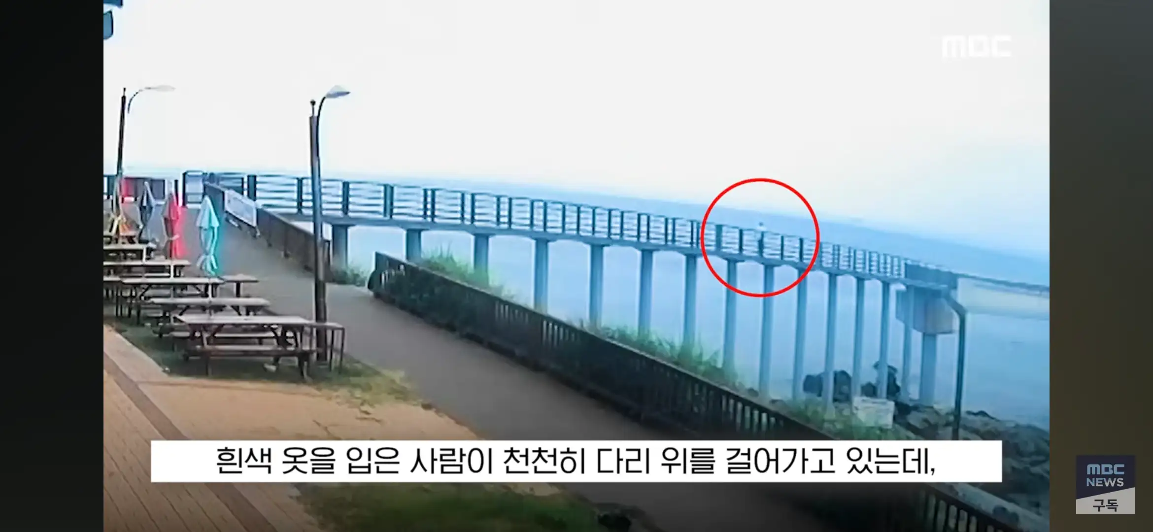 Screenshot_20260728_205937_YouTube.jpg