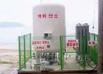 최근 광어 양식업이 힘든 이유_5.webp