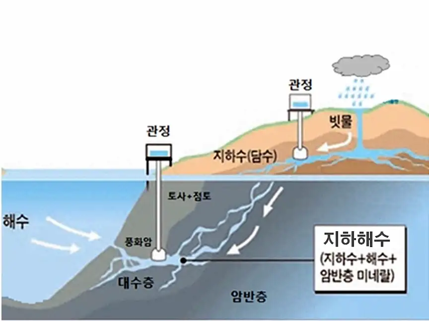 최근 광어 양식업이 힘든 이유_6.webp