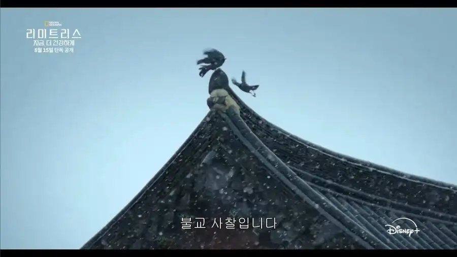 디즈니플러스에서 묘사된 한국 사찰_4.webp