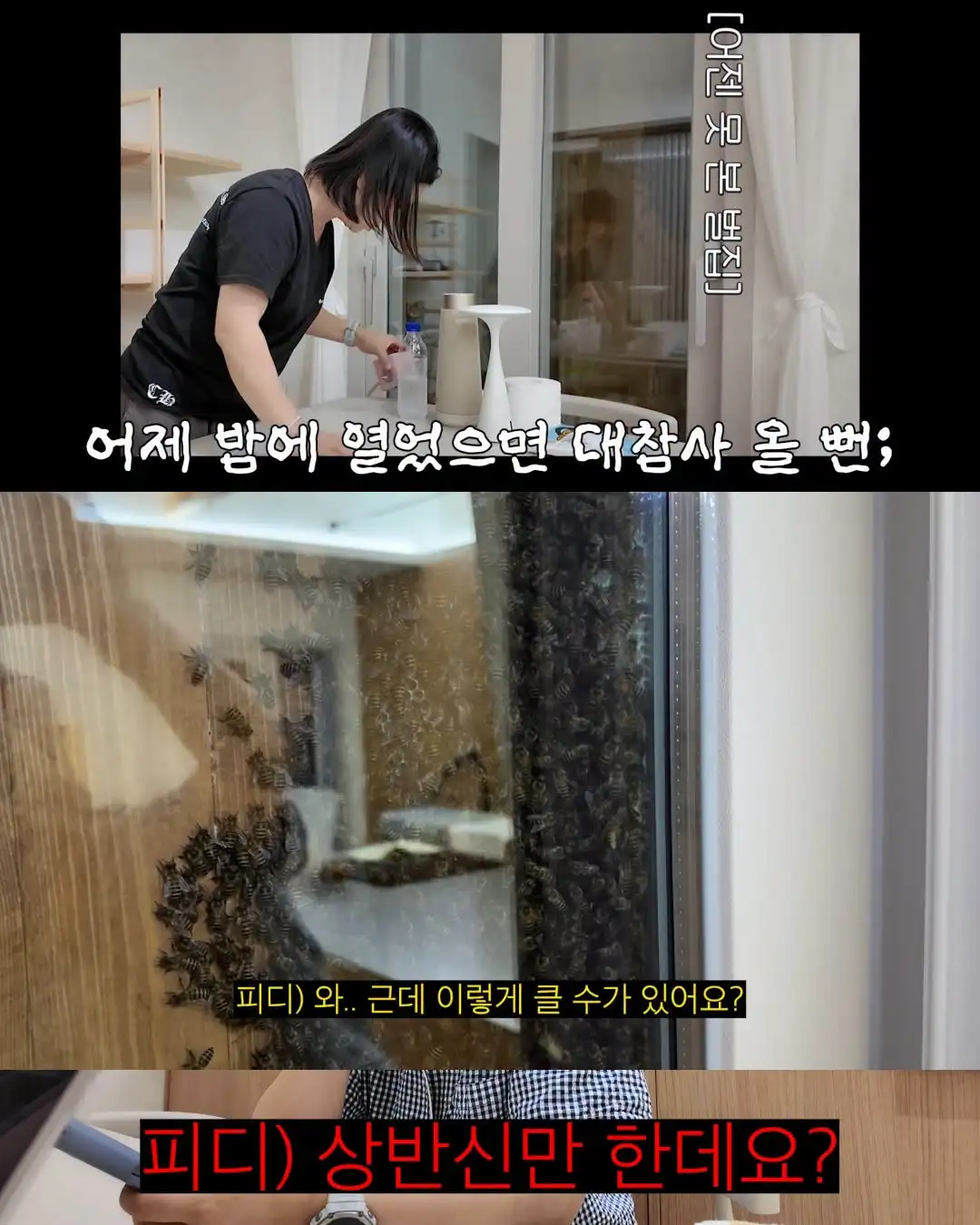 2주만에 제주도 집 갔다 119 부른 김숙